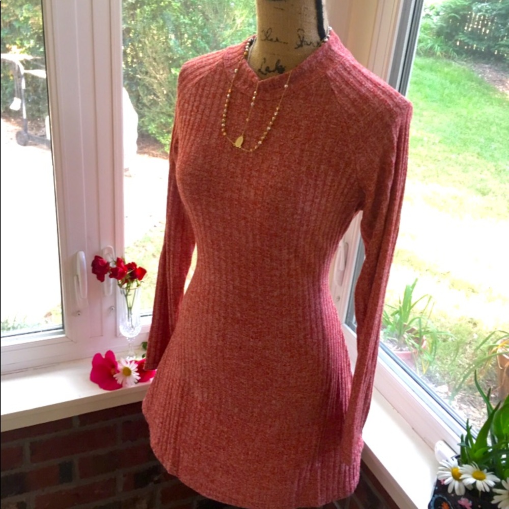 NWT Mini angvns dress